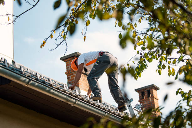 Best Sealant for Roof  in Roseville, MN