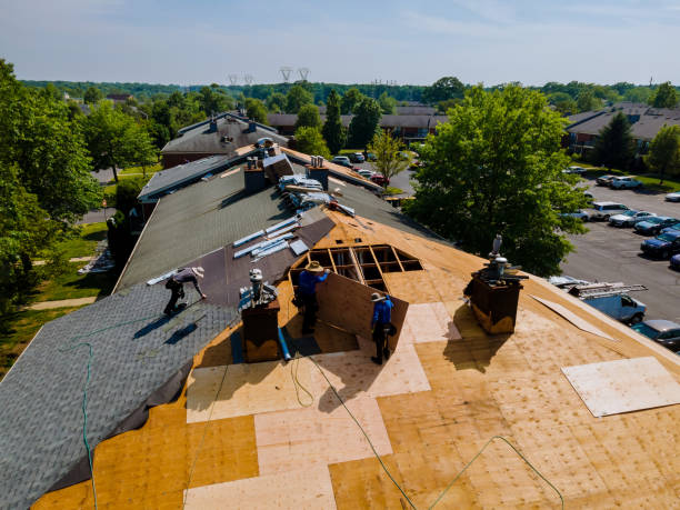 Best Sealant for Roof  in Roseville, MN