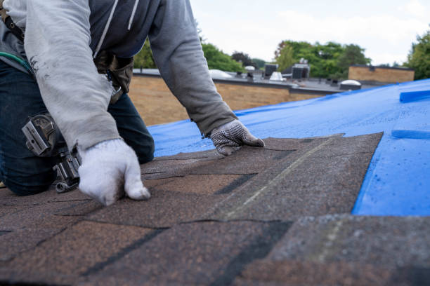 Best Flat Roof Repair Services  in Roseville, MN