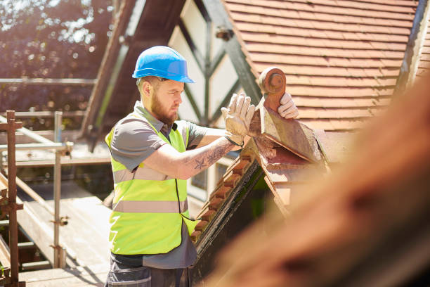 Best Roof Repair Services  in Roseville, MN