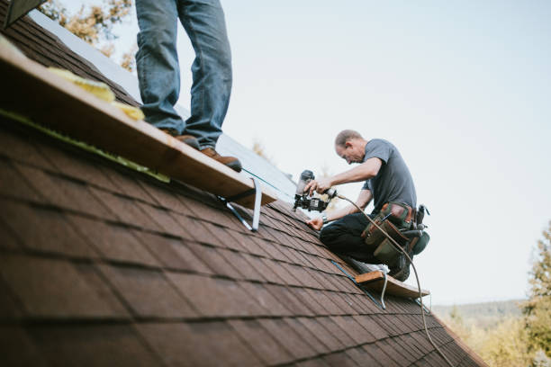 Best Roof Gutter Cleaning  in Roseville, MN